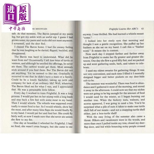 预售 【中商原版】纽伯瑞：山居岁月 1960年纽伯瑞银奖 My Side of the Mountain 儿童经典文学 平装 英文原版 7-12岁 商品图4