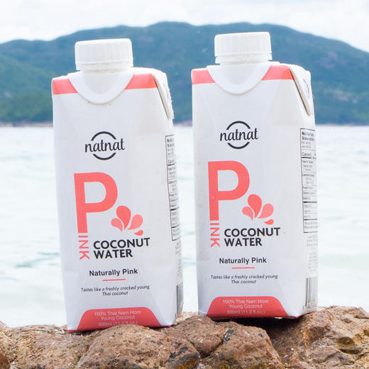 粉红椰子水 6瓶/12瓶 NFC非还原果汁 南虹椰青 椰汁果汁 纯素食品 泰国进口natnat 网红营养饮品 瑜伽健身运动 多酚营养 商品图5