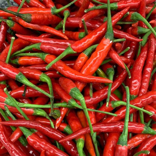 辣椒小米每公斤 商品图1