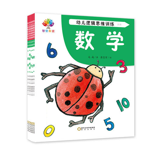 幼儿逻辑思维训练 大班(全5册) 商品图0