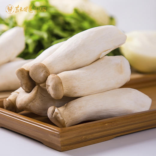 【生活稼】杏鲍菇 300g/盒