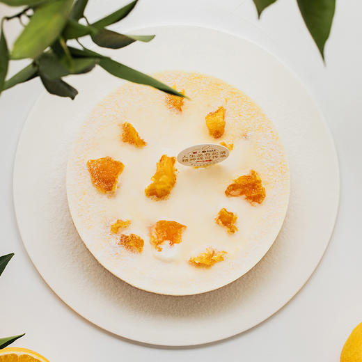 橙橙芝士 褚氏云冠橙,匠心有传承(海口)