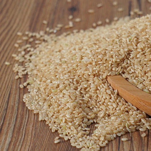 香畴自然农法糙米 可发芽粗粮 1kg/袋 商品图8