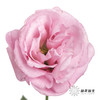 洋桔梗 | 粉色 商品缩略图0