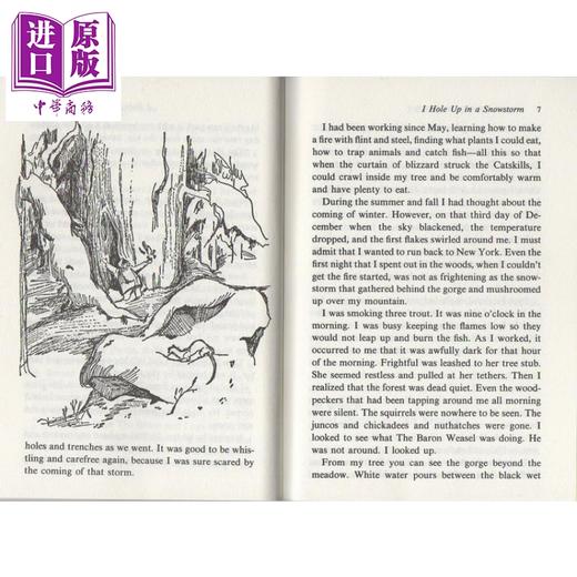预售 【中商原版】纽伯瑞：山居岁月 1960年纽伯瑞银奖 My Side of the Mountain 儿童经典文学 平装 英文原版 7-12岁 商品图3