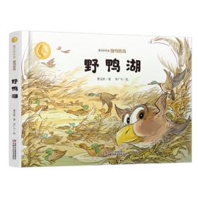 曹文轩作品·侠鸟传奇·野鸭湖（精装版）  3-7岁适读
