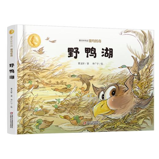 曹文轩作品·侠鸟传奇·野鸭湖（精装版）  3-7岁适读 商品图0