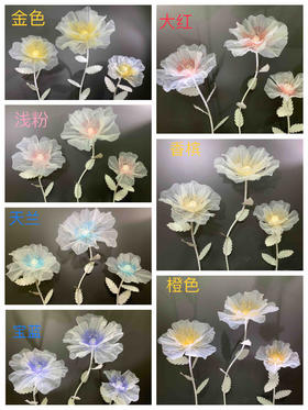 梦幻花【运费自理】