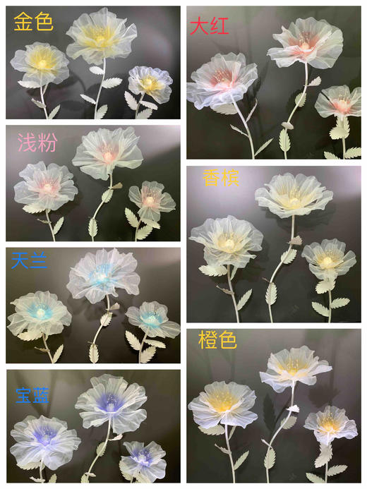 梦幻花【运费自理】 商品图0