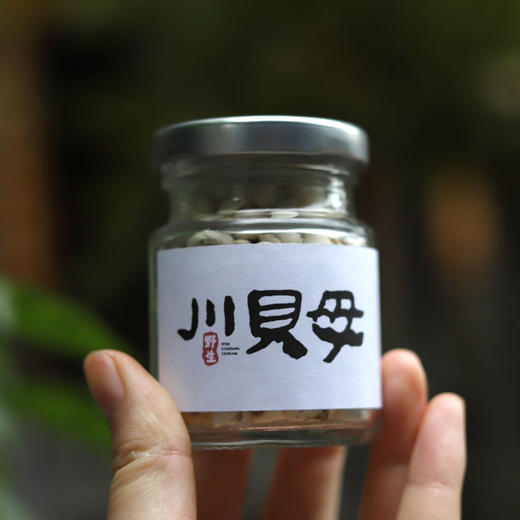 野生川贝母 | 来自川西高原 藏民直采  正宗松贝  地道产区  无熏硫漂白 | 合作生产 | 基地直发包邮*Wild Fritillaria 商品图6
