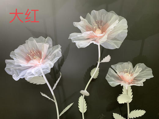 梦幻花【运费自理】 商品图2