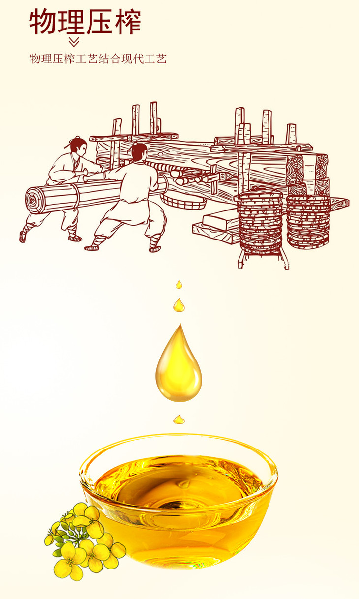 1106直播九龙坡特产红蜻蜓一级菜籽油5l