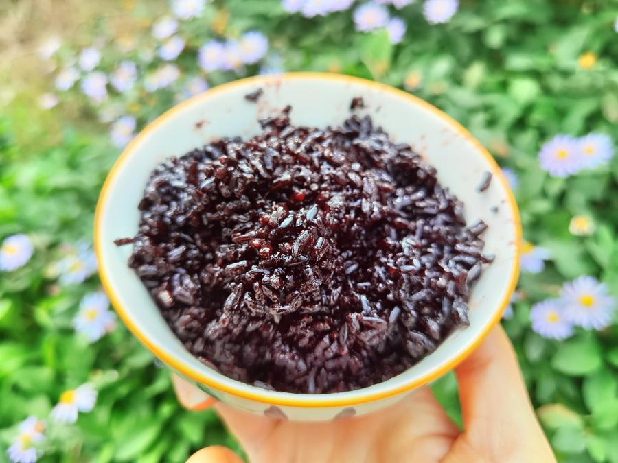 气香而味腴 江苏常熟鸭血糯 5斤包邮(下单5天后发货)