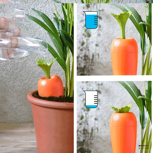 Peleg Design正品自动浇水器绿植浇灌器可爱胡萝卜造型 商品图4
