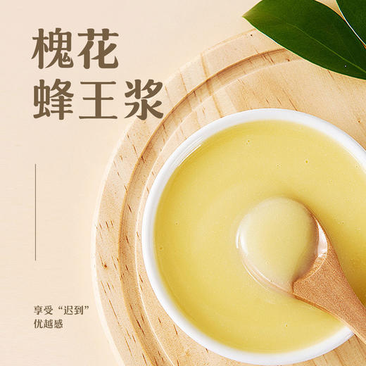 槐花蜂王浆鲜蜂乳新鲜王浆500g