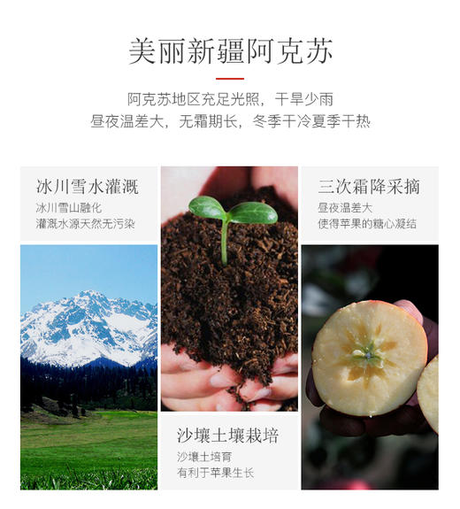 新疆阿克苏冰糖心苹果净重约9斤 商品图3