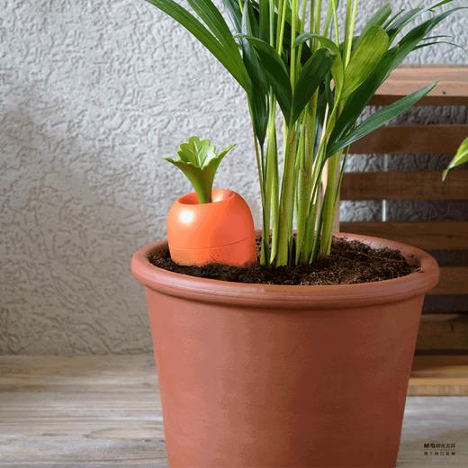 Peleg Design正品自动浇水器绿植浇灌器可爱胡萝卜造型 商品图0