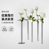 以色列Peleg Design磁性简约花瓶MagneticVase摆 5件装（不含花） 商品缩略图0