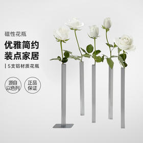 以色列Peleg Design磁性简约花瓶MagneticVase摆 5件装（不含花）