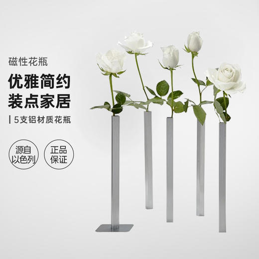 以色列Peleg Design磁性简约花瓶MagneticVase摆 5件装（不含花） 商品图0