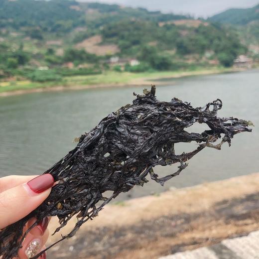霞浦滩涂头水紫菜 半斤(250g)