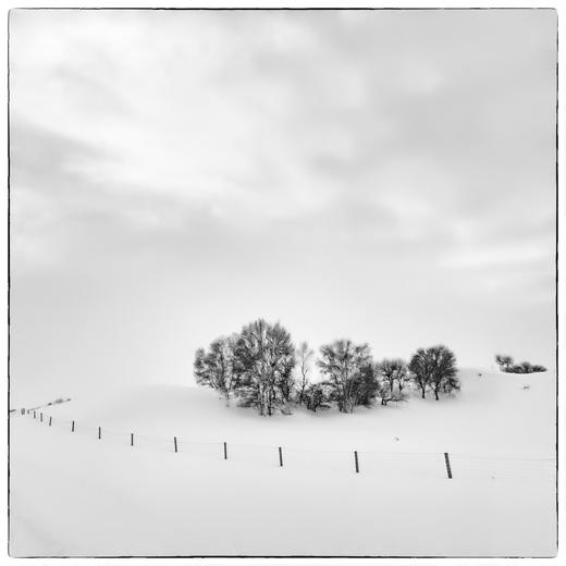 1.10确定出发【雪魅乌兰布统】冬季坝上•金山岭长城7天全景摄影 商品图13