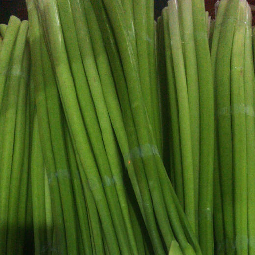 马蹄莲 白色 商品图2