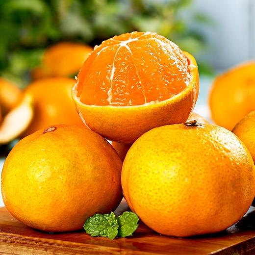 热卖特荐宜昌蜜桔新鲜橘子水果蜜橘当季无籽完熟桔子整箱5斤包邮