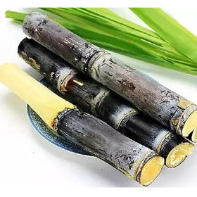 【15元/根  可去皮】甘蔗8斤左右（1500092）