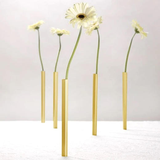 以色列Peleg Design磁性简约花瓶MagneticVase摆 5件装（不含花） 商品图3