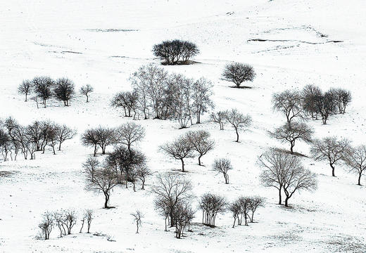 1.10确定出发【雪魅乌兰布统】冬季坝上•金山岭长城7天全景摄影 商品图10