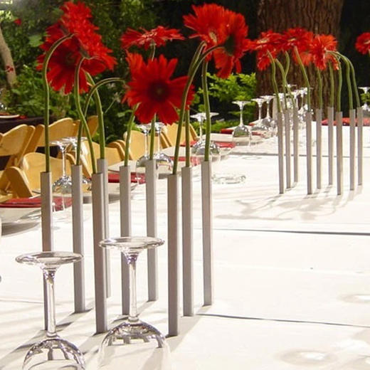 以色列Peleg Design磁性简约花瓶MagneticVase摆 5件装（不含花） 商品图4