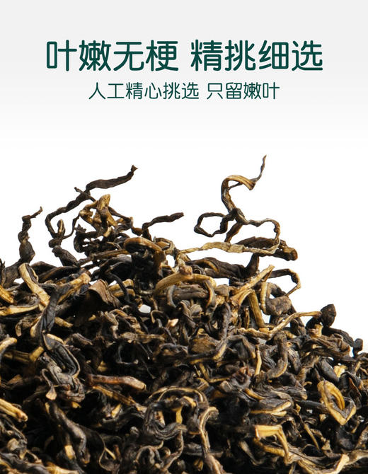 【云燕优品】古蔺赶黄草50g小盒装 商品图3