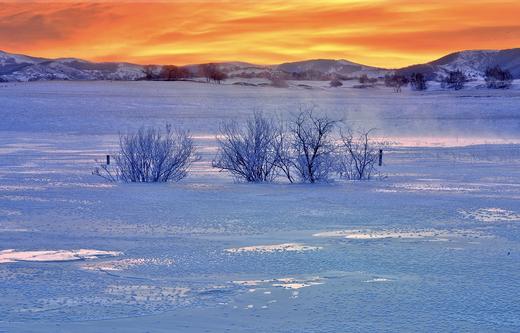 1.10确定出发【雪魅乌兰布统】冬季坝上•金山岭长城7天全景摄影 商品图7
