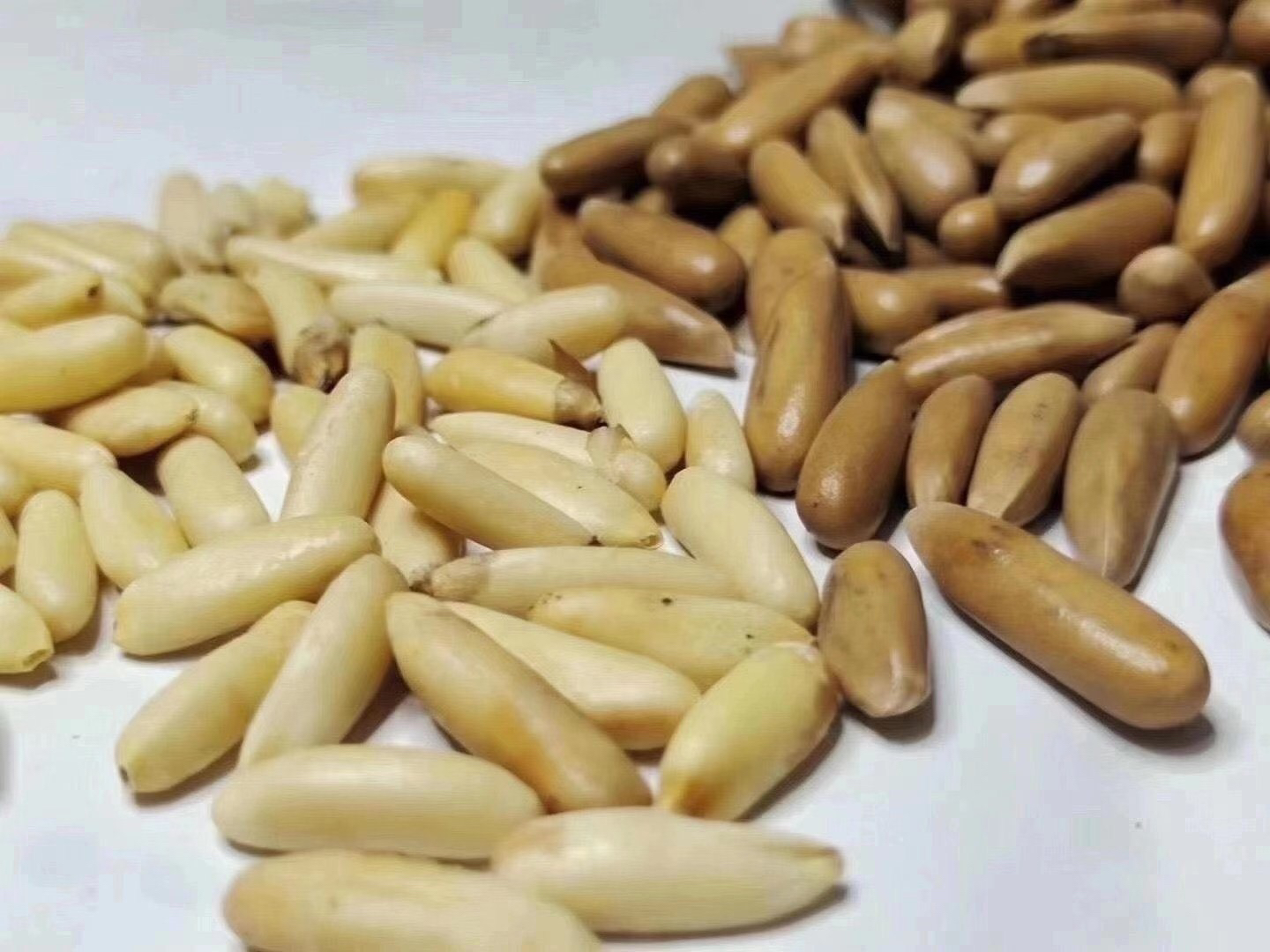 特级巴西松子，每颗都有森林的气息，新籽新料，颗粒饱满，皮薄易剥，自然鲜甜味