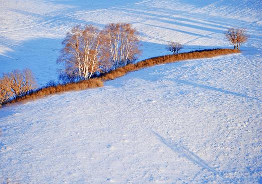 1.10确定出发【雪魅乌兰布统】冬季坝上•金山岭长城7天全景摄影 商品图11