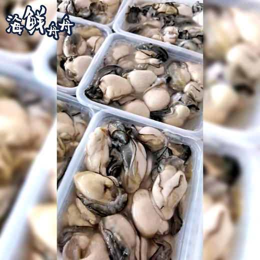 【野生】超低温 新鲜小生蚝肉 250g/盒 商品图1