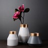 【装饰品】*北欧轻奢陶瓷花瓶现代简约陶瓷工艺品客厅花瓶摆件陶瓷家居装饰品 商品缩略图3