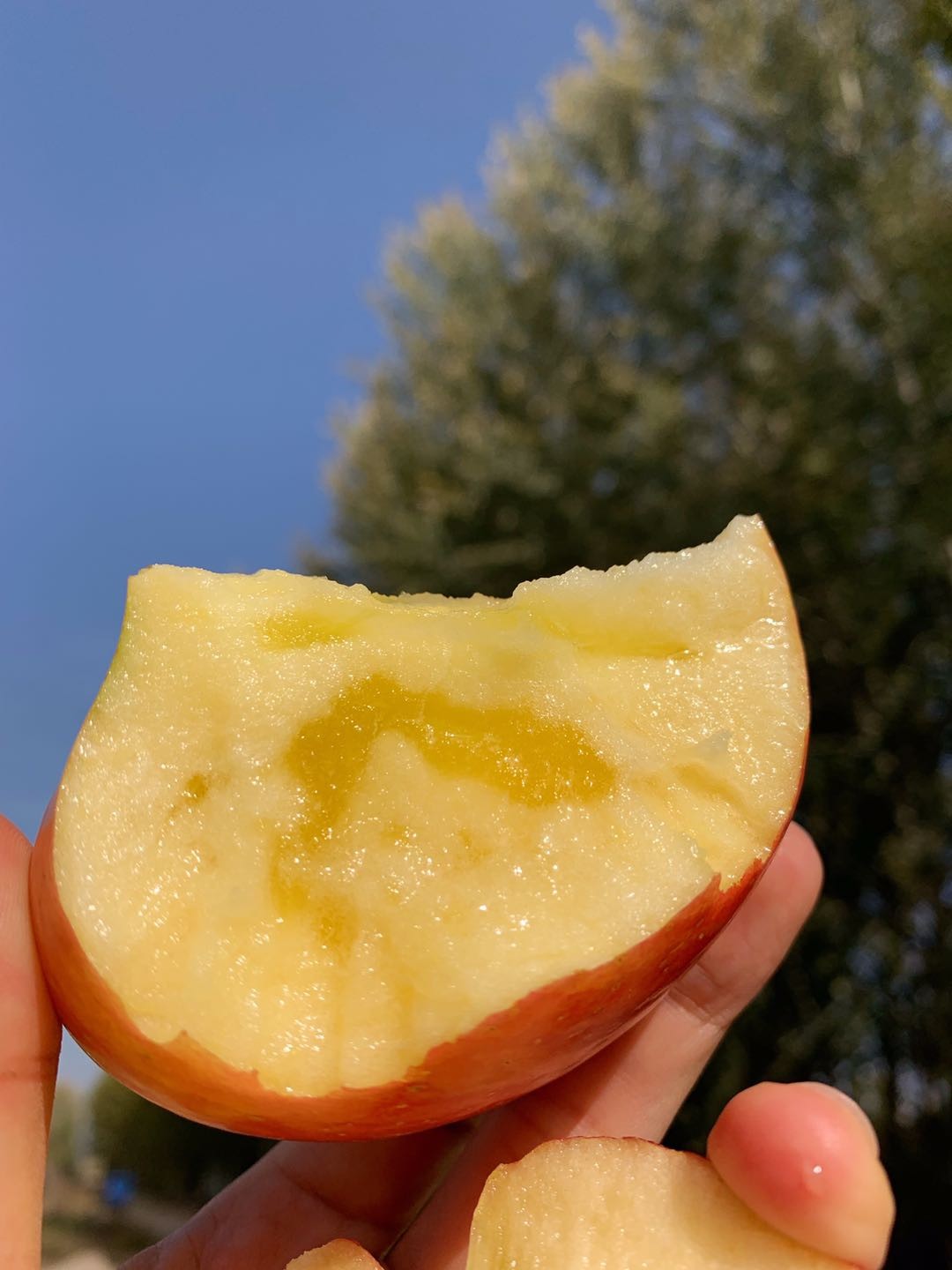 库尔勒一级香梨冰糖心苹果组合8斤装