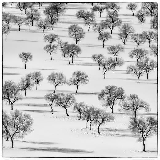 1.10确定出发【雪魅乌兰布统】冬季坝上•金山岭长城7天全景摄影 商品图12