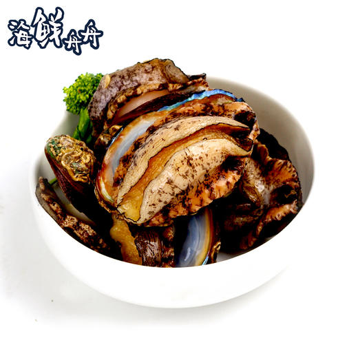 【养殖】超低温 10头/8头/7头/6头 水草吊养鲍鱼 10只/8只/7只/6只/500g 商品图4