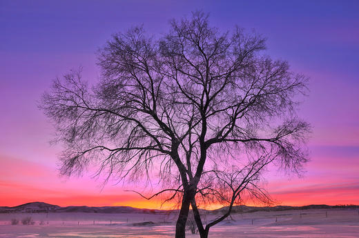 1.10确定出发【雪魅乌兰布统】冬季坝上•金山岭长城7天全景摄影 商品图5