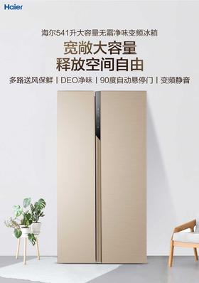 海尔（Haier）冰箱BCD-541WDPJ