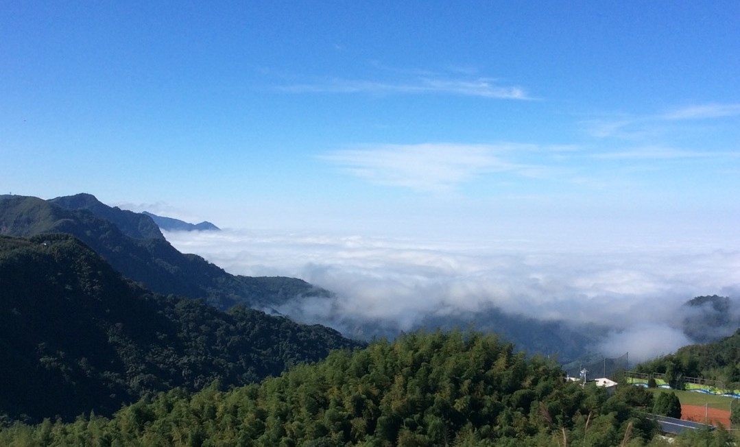 【茶馆茶叶】【金露香萱】小众茶第四十四期丨恋恋18年丨 采用自然工法制作 天时地利人和下的特殊乌龙茶丨冷霜气息浓郁