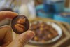 2夏威夷果仁脆（夏威夷果奶香脆/夏威夷果可可脆）2种口味可选 商品缩略图4
