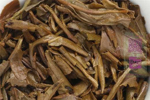 大师监制  口感上佳  老同志•深山老树茶（2013） 商品图13