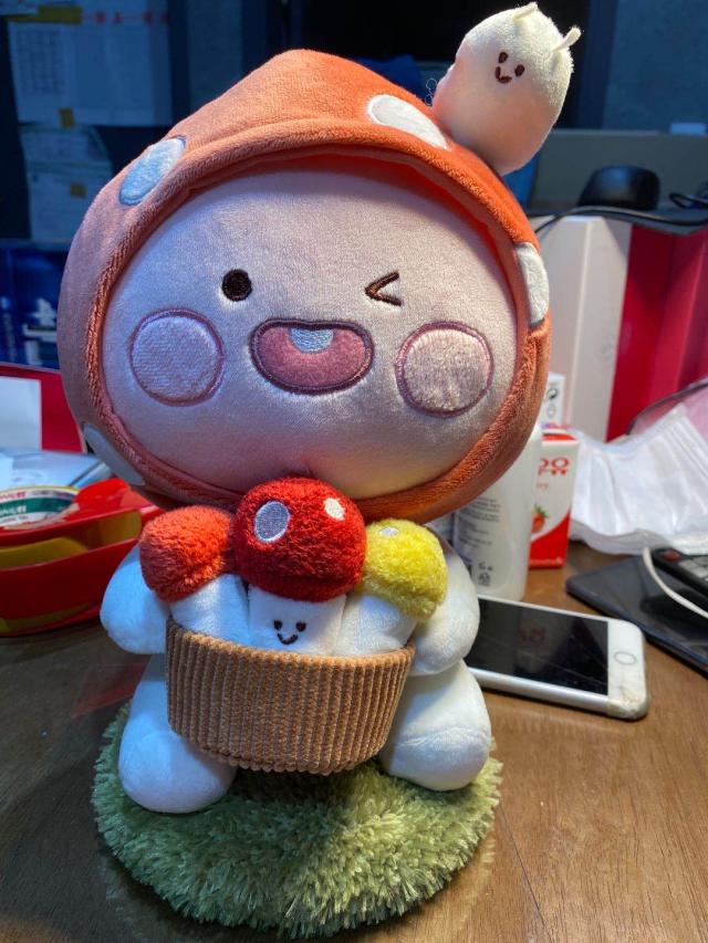 韩国Kakao Friends 可爱毛绒布艺玩具 #1030159JPY带授权招加盟代理
