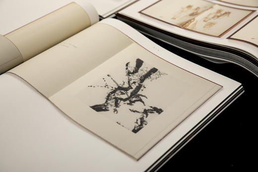 现货丨限量版《书之极》顺丰发货 商品图6