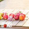 【MIX限定】苹果缤纷混合装 申通快递 商品缩略图10