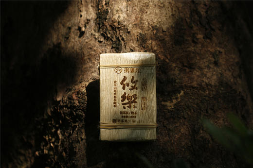 老茶鬼工坊  携谁隐·攸乐熟砖（2020） 商品图13